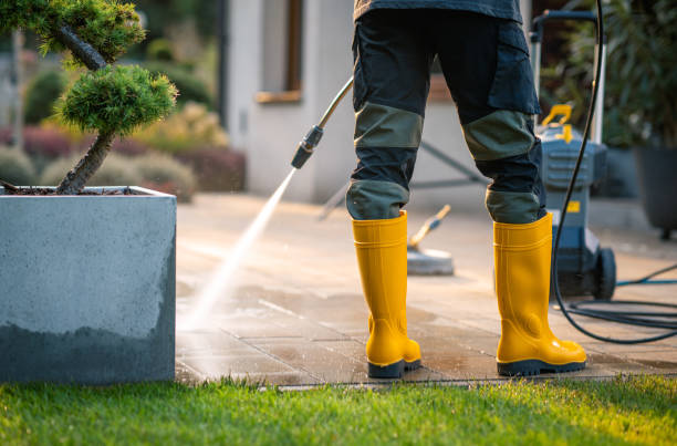 Best Residential Pressure Washing Services  in Globe, AZ